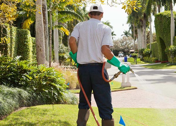 About Lapoint UT Pest Control